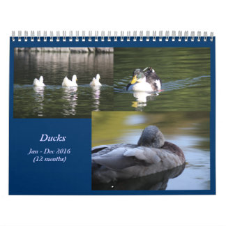Calendrier des Canards 2016
