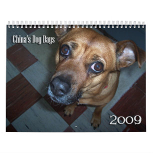 Calendrier des canicules 2009 de la Chine