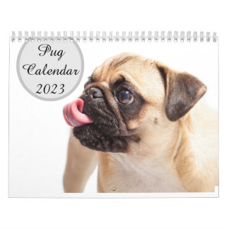 Calendrier des carlins 2023