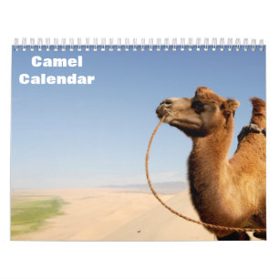 Calendrier des chameaux