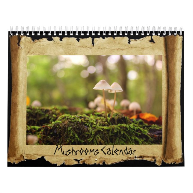 Calendrier des champignons (Protection)