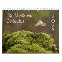 Calendrier des champignons pour 2023 Belles photos