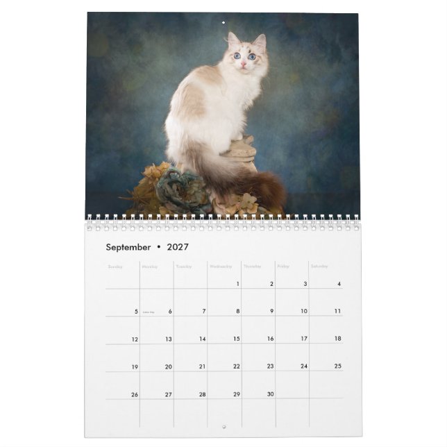 Calendrier des chatons de poupée douce (Sep 2027)