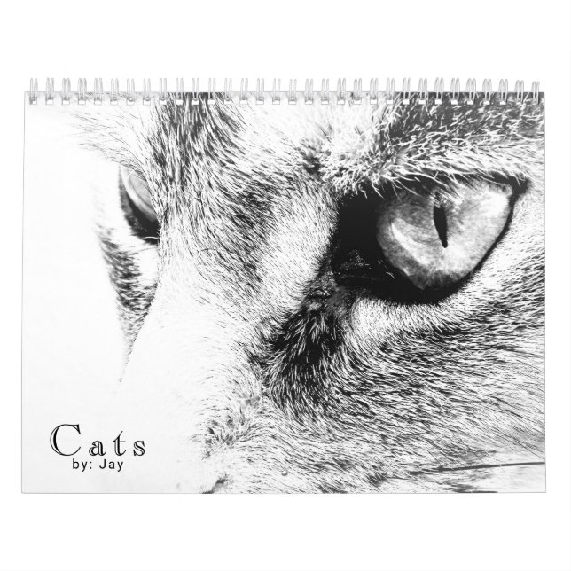 Calendrier des chats (Protection)