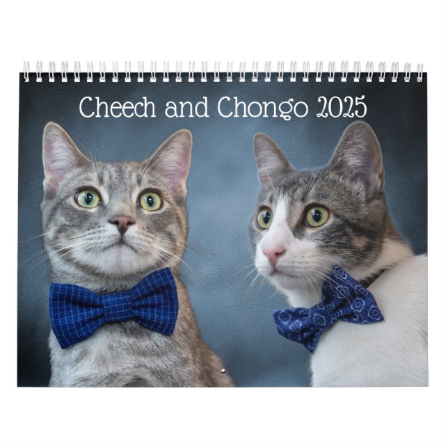 Calendrier des chats (Protection)