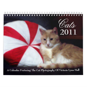 Calendrier des chats 2011