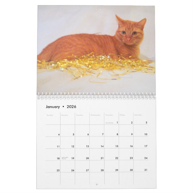 Calendrier des chats 2011 (Jan 2026)