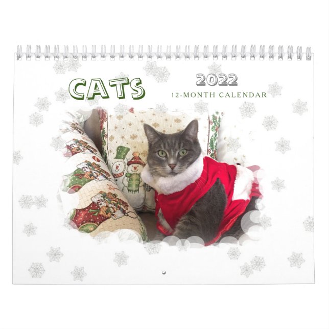Calendrier des chats 2022 (Protection)