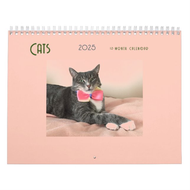 Calendrier des chats 2025 (Protection)
