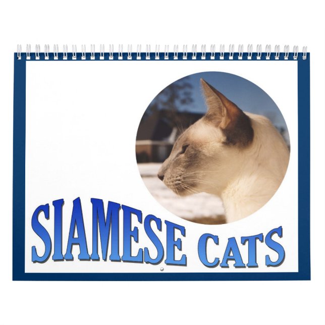 Calendrier des chats de Siamese 2024 (Protection)
