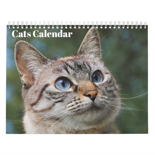 Calendrier des chats du Bengale 2025 (Protection)