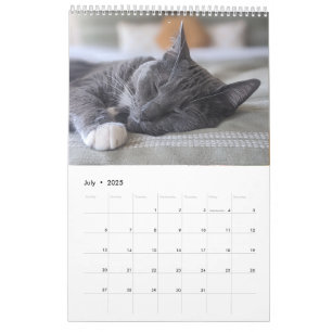 Calendrier des chats endormis