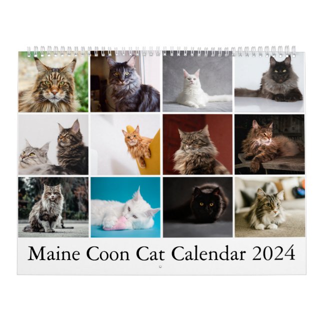 Calendrier des chats Maine Coon (Protection)