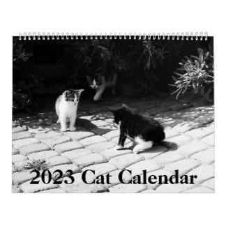 Calendrier des chats modernes 2023