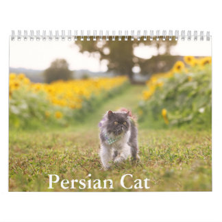 Calendrier des chats persans