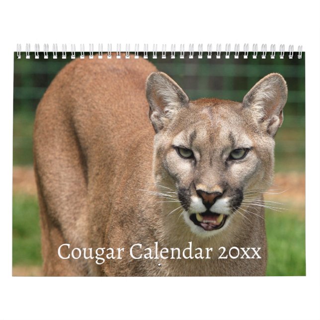 Calendrier des chats sauvages Cougar (Protection)