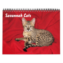 Calendrier des chats Serval Savannah