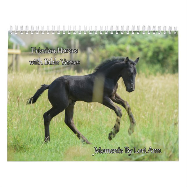 Calendrier des Chevaux de Frise avec des vers bibl (Protection)