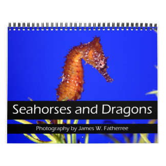 Calendrier des chevaux de mer et des dragons