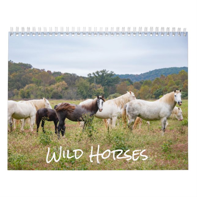 Calendrier des Chevaux sauvages (Protection)