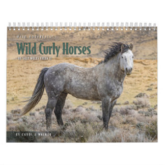 Calendrier des Chevaux Sauvages Crépus de Salt Wel