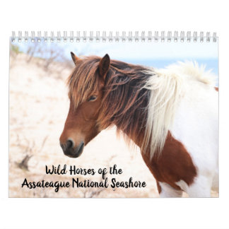 Calendrier des chevaux sauvages d'Assateague