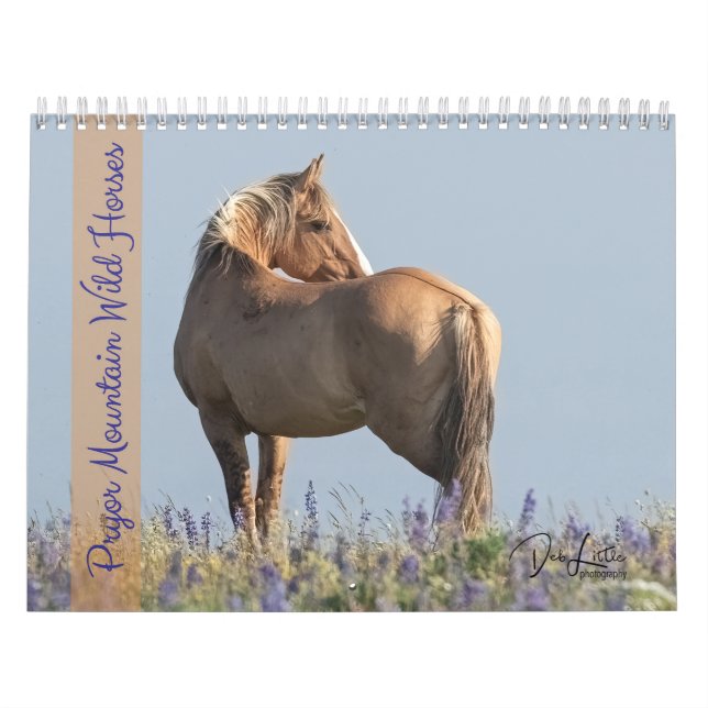 Calendrier des Chevaux sauvages de Pryor Mountain (Protection)