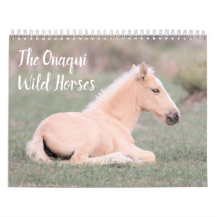 Calendrier des Chevaux sauvages d'Onaqui