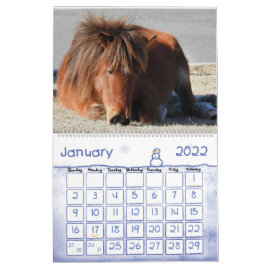Calendrier des Chevaux sauvages, île Assateague