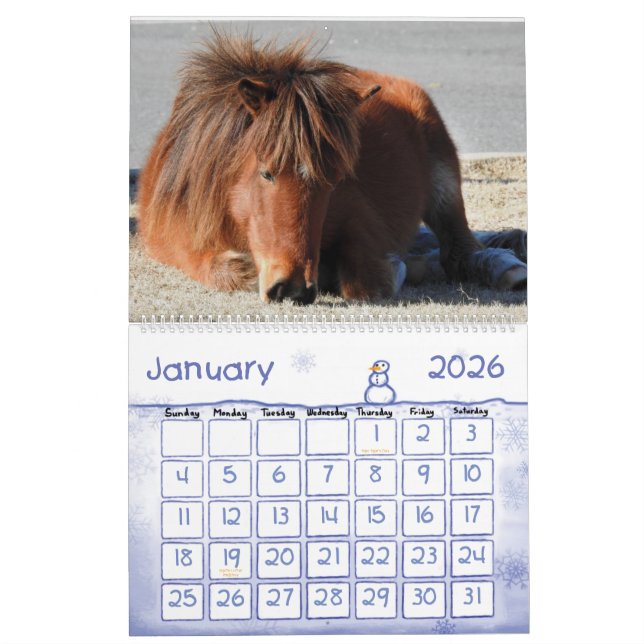 Calendrier des Chevaux sauvages, île Assateague (Jan 2026)