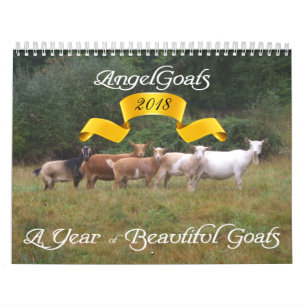 Calendrier des chèvres Belles chèvres AngelChèvres
