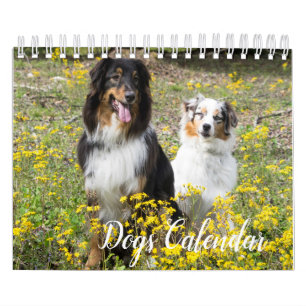 Calendrier des chiens