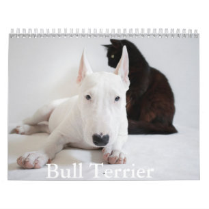 Calendrier des chiens Bull Terrier