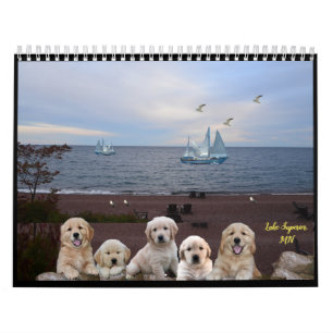 Calendrier des chiens de service