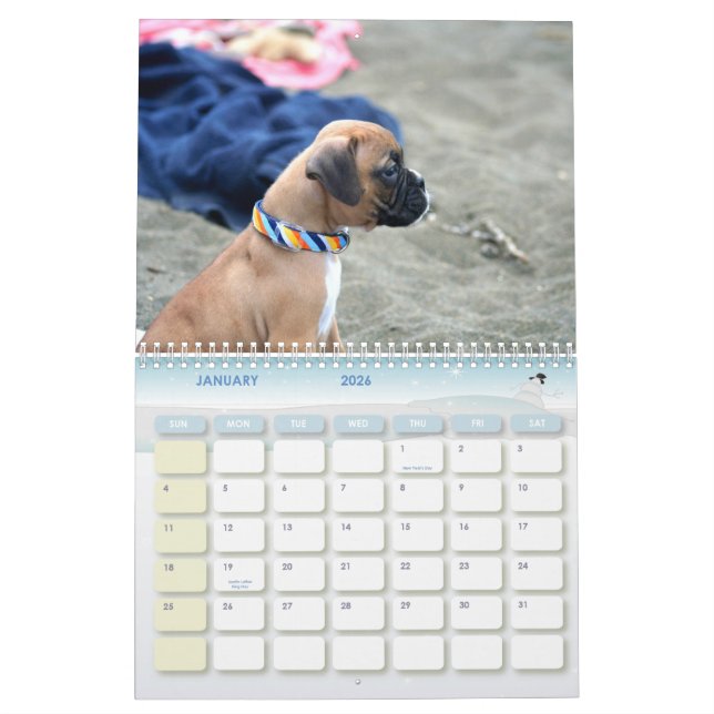 Calendrier des chiots 2012 de boxeur (Jan 2026)