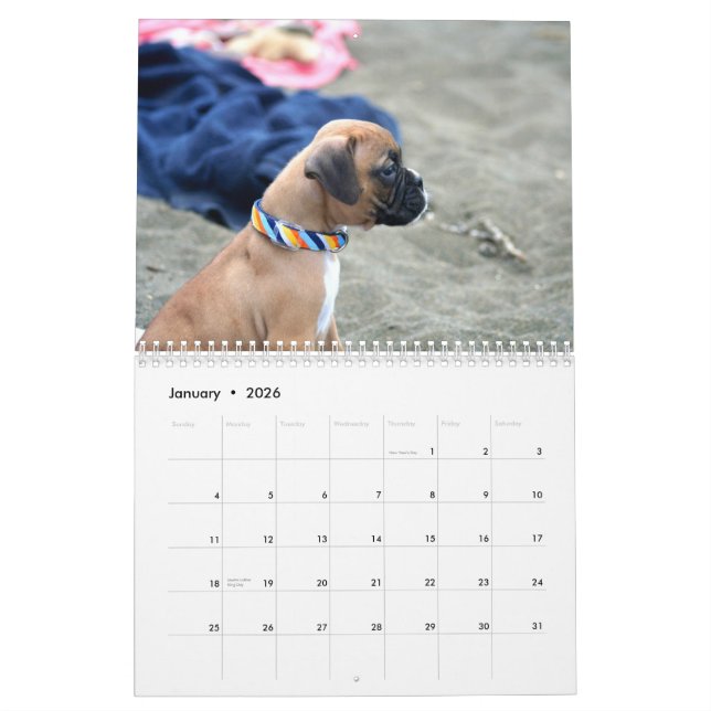 Calendrier des chiots 2013 de boxeur (Jan 2026)