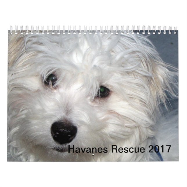 Calendrier des chiots 2014 de Havanese de (Protection)