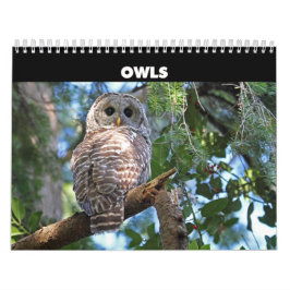 Calendrier des Chouettes sauvages