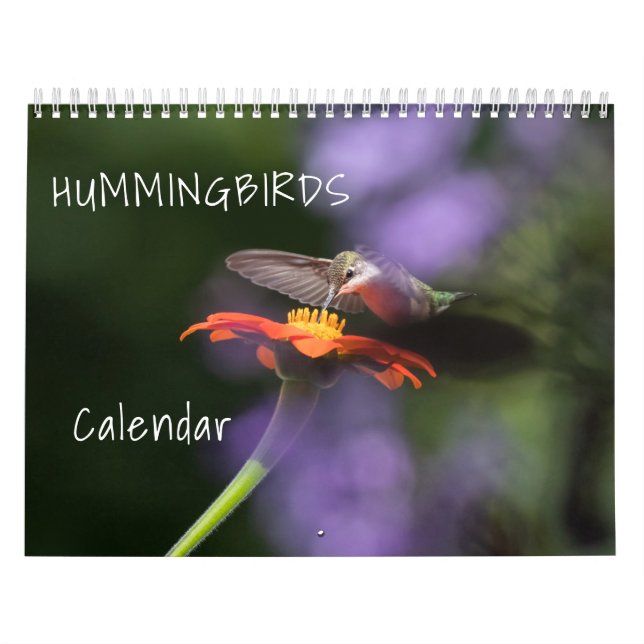 Calendrier des colibris (Protection)