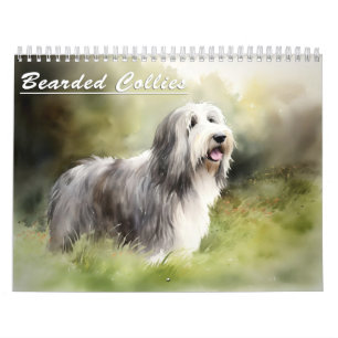 Calendrier des collies barrées, chaque année