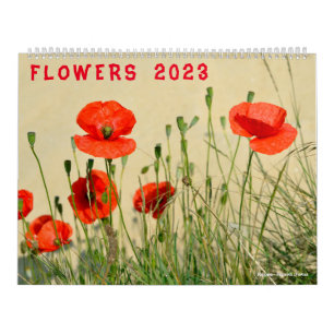 Calendrier des différentes fleurs 2023