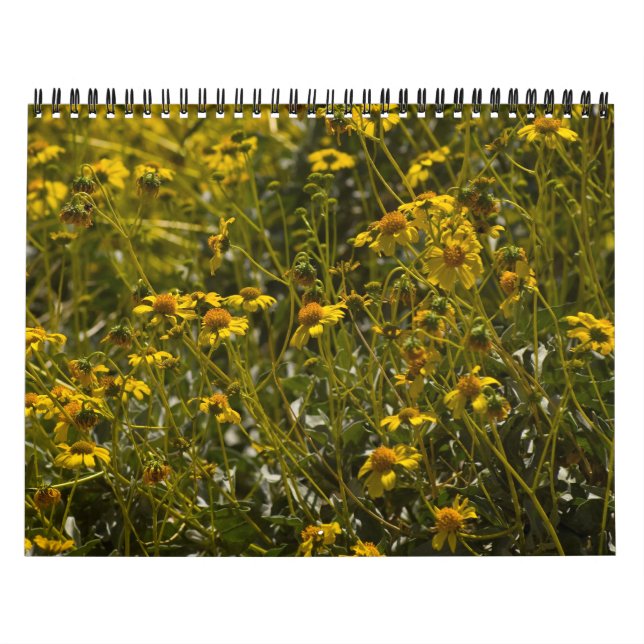Calendrier des écritures Fleurs sauvages 2013 (Protection)