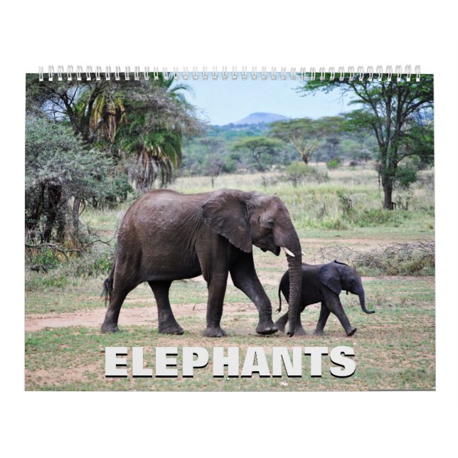 Calendrier des éléphants (Protection)