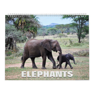 Calendrier des éléphants