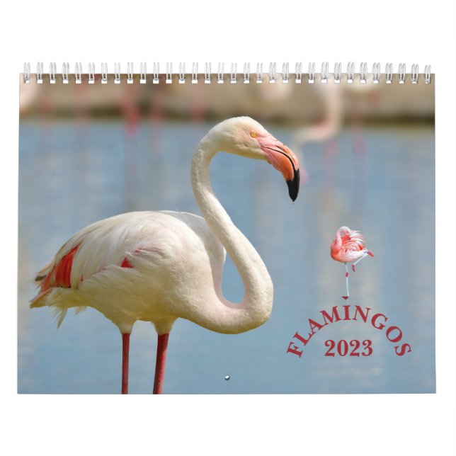 Calendrier des Flamants roses (Protection)