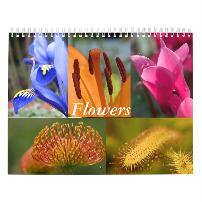 Calendrier des fleurs (Protection)