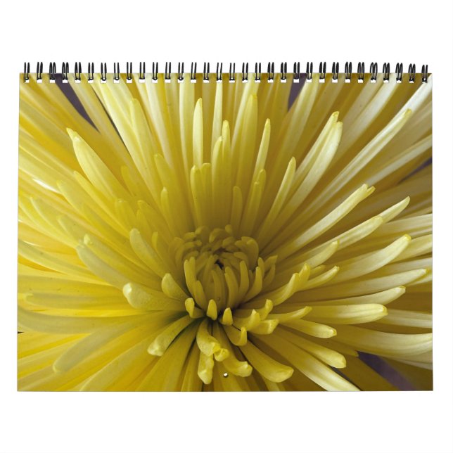 Calendrier des fleurs (Protection)