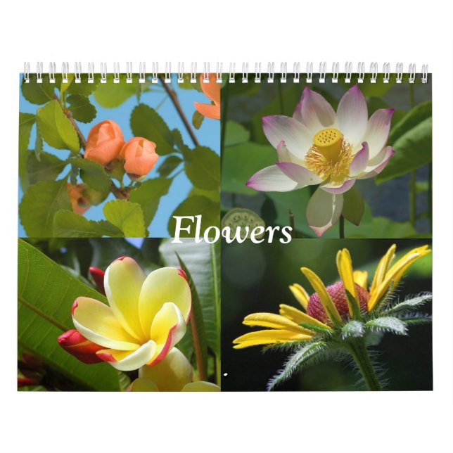Calendrier des fleurs (Protection)