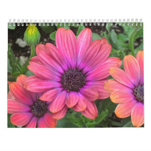 Calendrier des fleurs