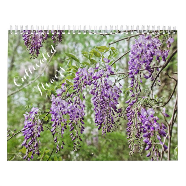 Calendrier des fleurs cultivées (Protection)